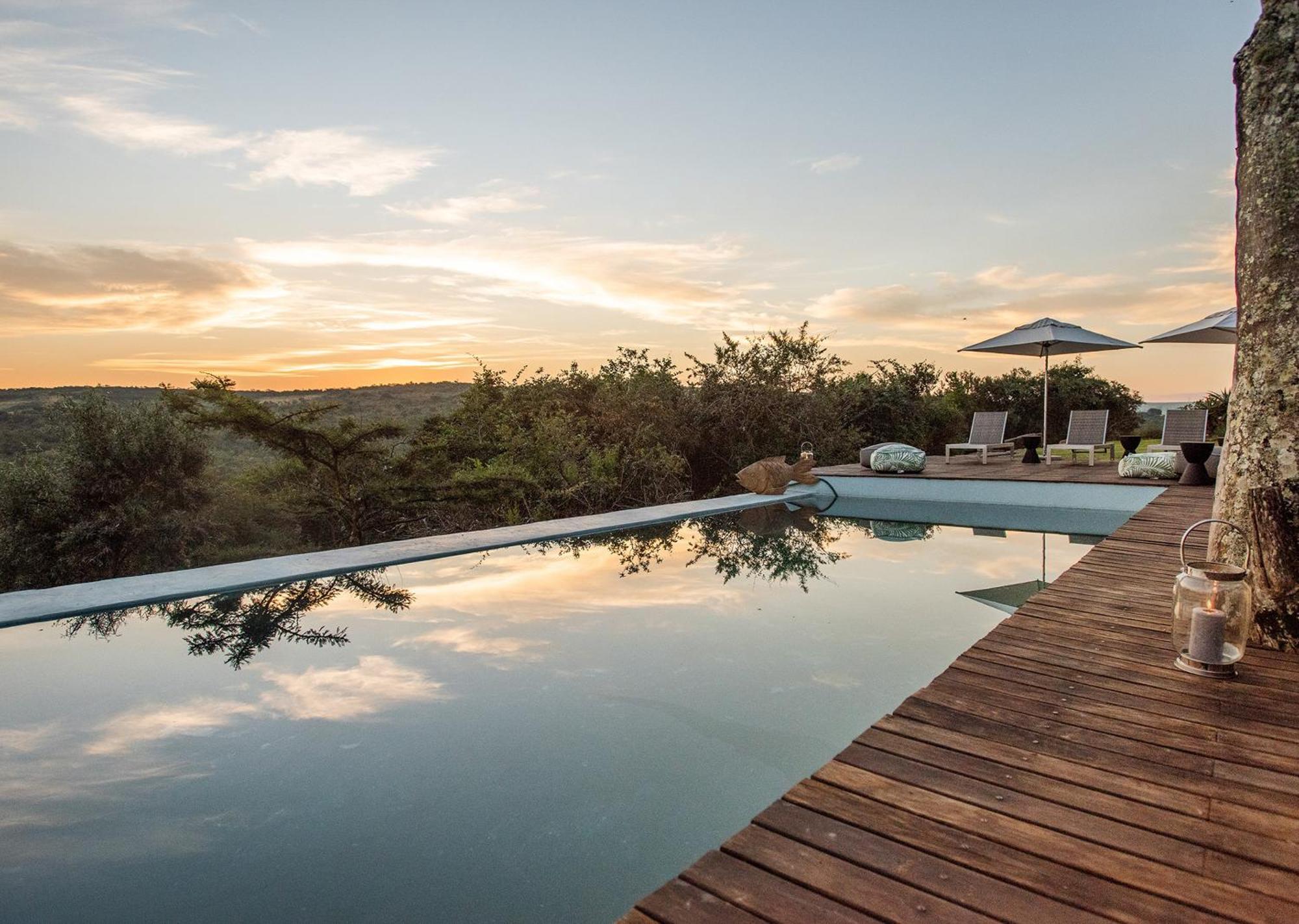 Tala Collection Game Reserve Silverton Exteriör bild