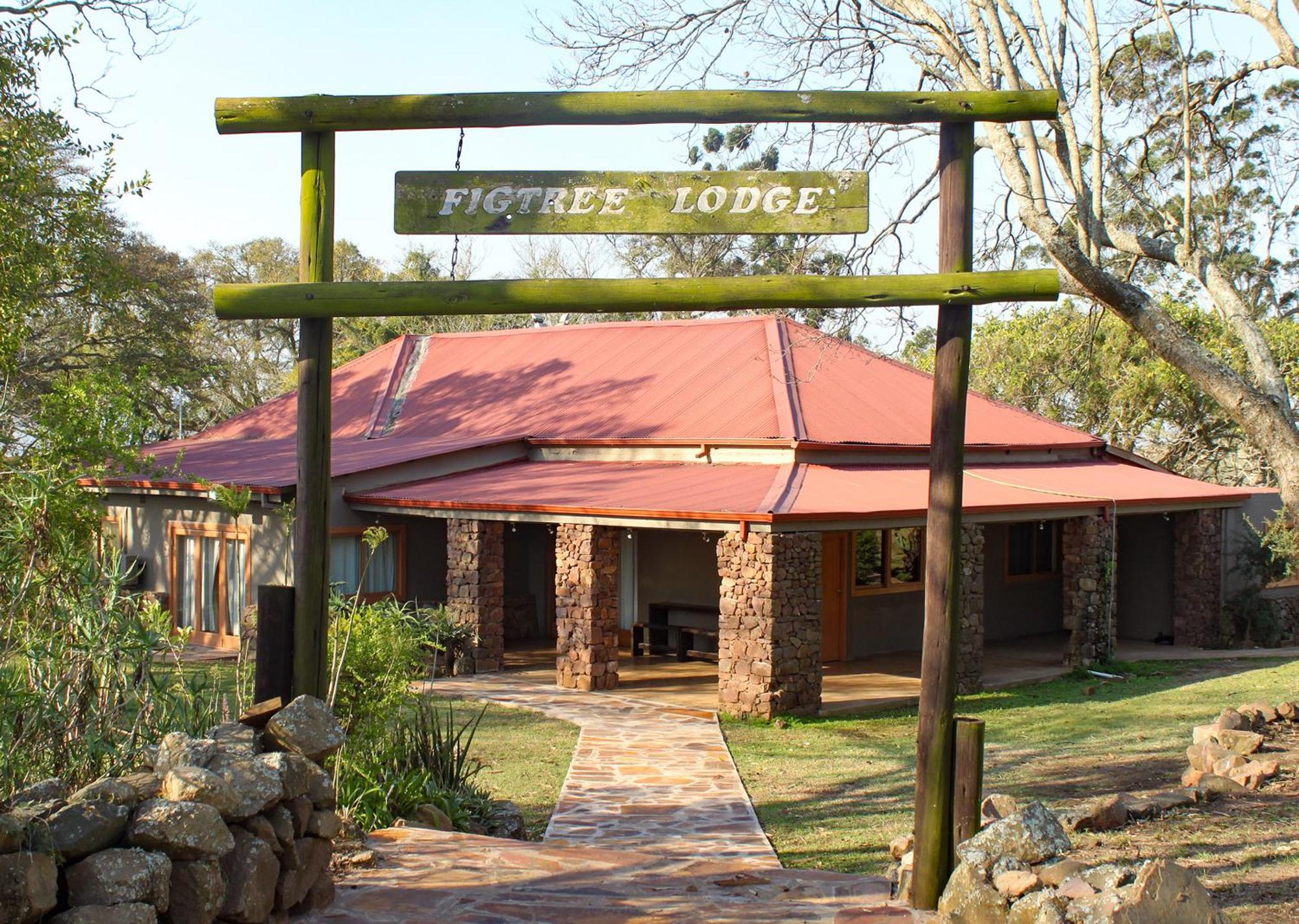 Tala Collection Game Reserve Silverton Exteriör bild