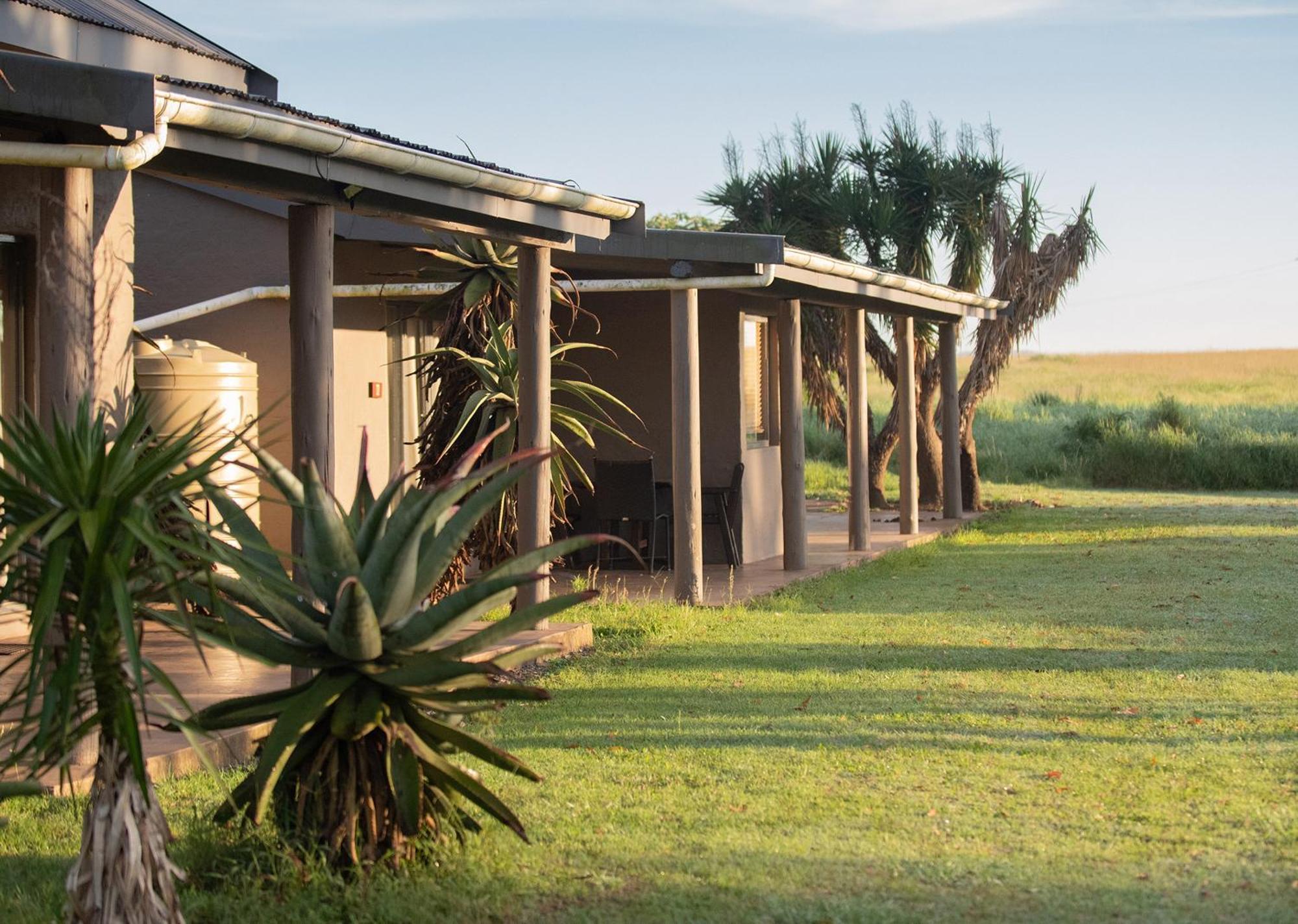Tala Collection Game Reserve Silverton Exteriör bild